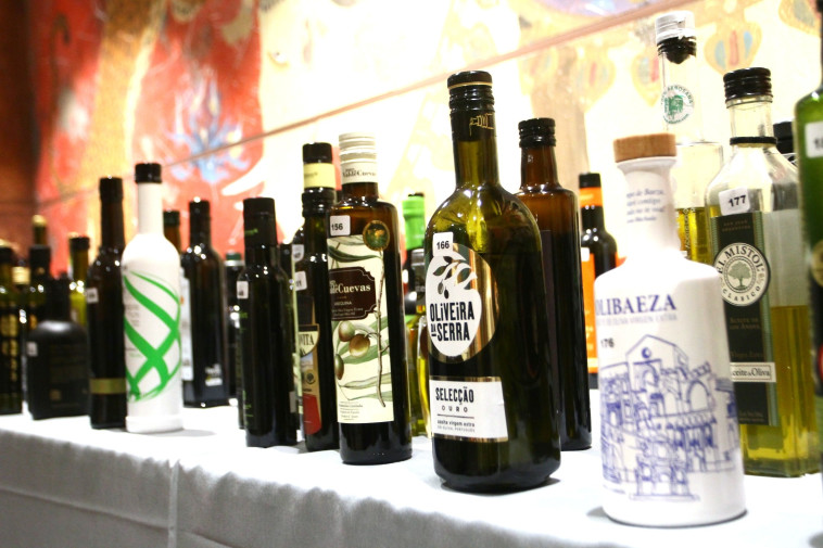 שמני זית בתחרות טרה אוליבו. צילום: אילן לוי