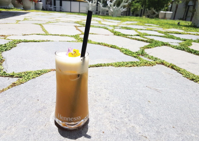 קוקטייל הנסי קולדה, צילום: יחצ