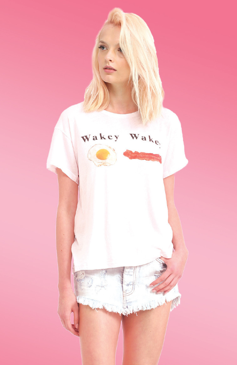 צילום: יח&quot;צ