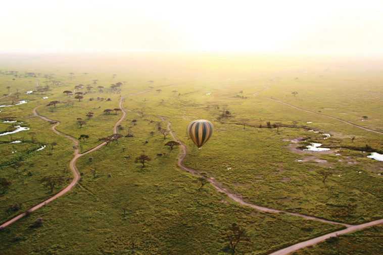 כדור פורח בטנזניה. צילום: רויטל חורש