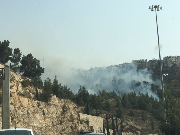 השריפה בליפתא. צילום: מיקי בנימין/TPS