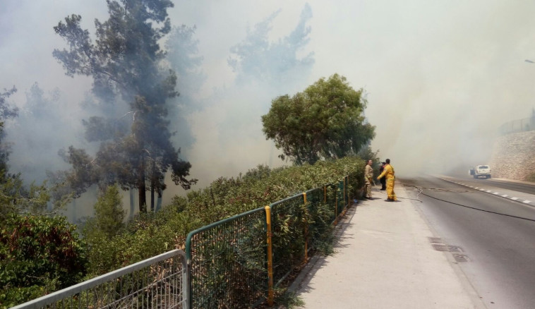 השריפה בירושלים. צילום: דוברות כבאות והצלה