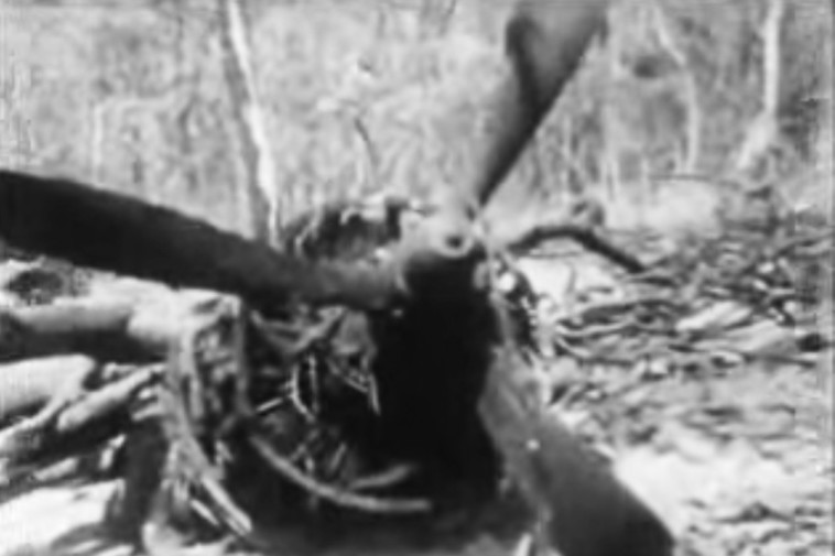 התרסקות המטוס בזמביה. צילום מסך