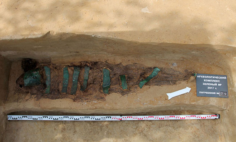 מין המומיות עדיין לא ידוע, אך החוקרים ממשיכים לבדוק את הממצאים. טוויטר