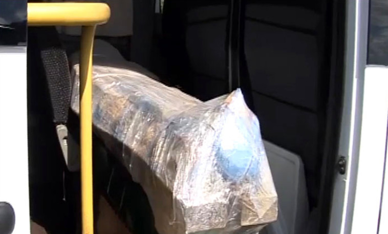 החוקרים משערים שגובה המומיה הבוגרת הוא 165, אך מינה עוד לא ידוע. טוויטר