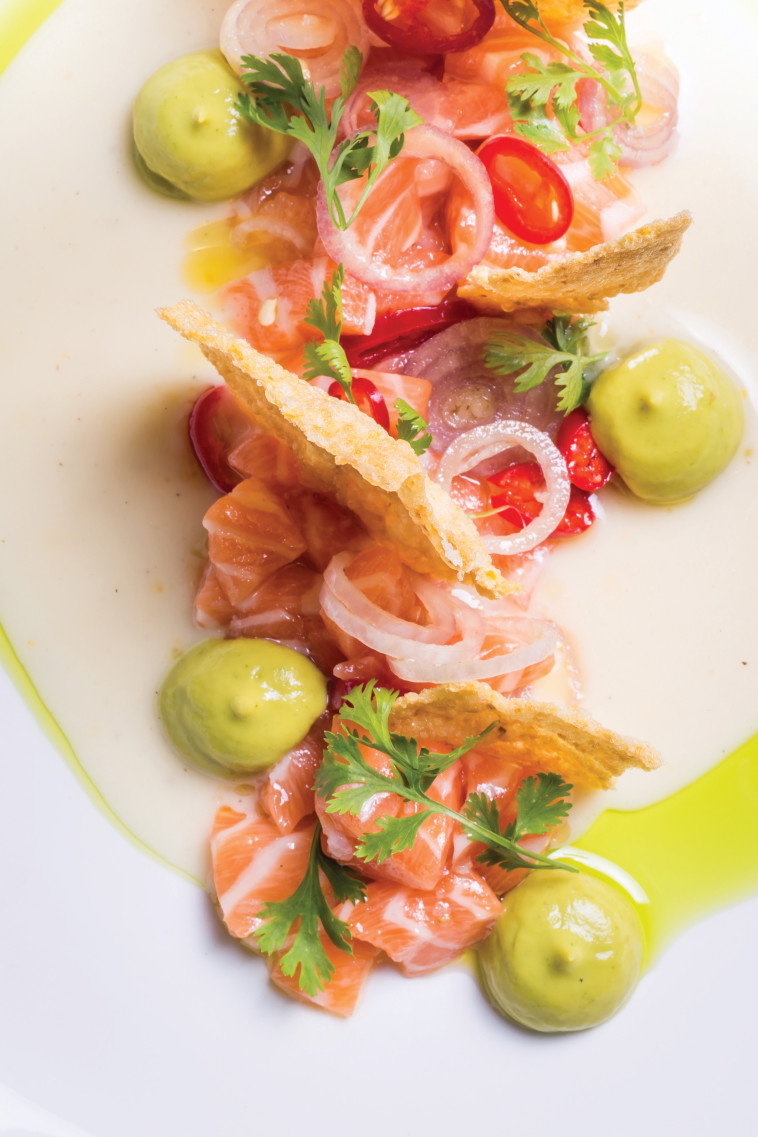 טרטר סלמון. צילום: יהונתן בן חיים