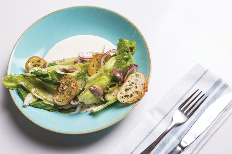 סלט קיסר. צילום: יהונתן בן חיים