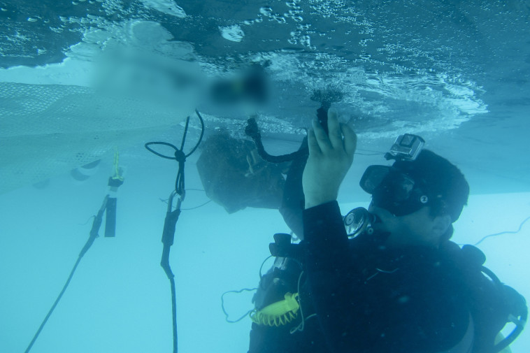 תרגיל נובל מלינדה. צילום: דובר צה&quot;ל