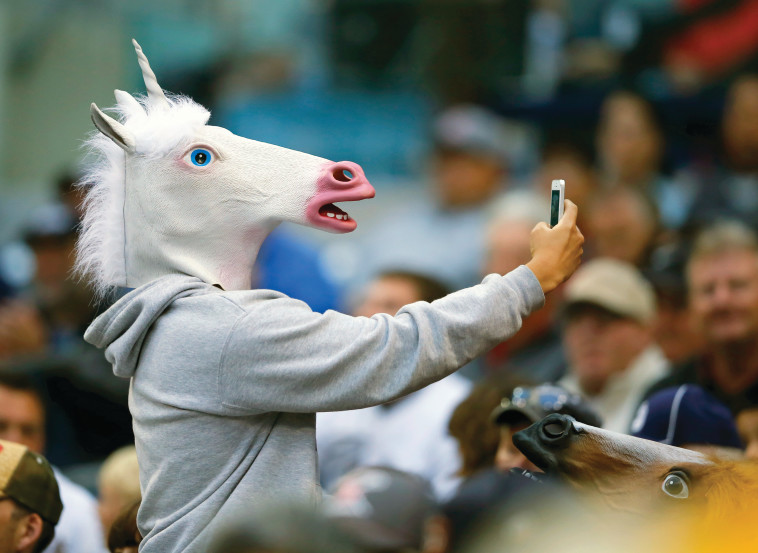 חד קרן. צילום: רויטרס