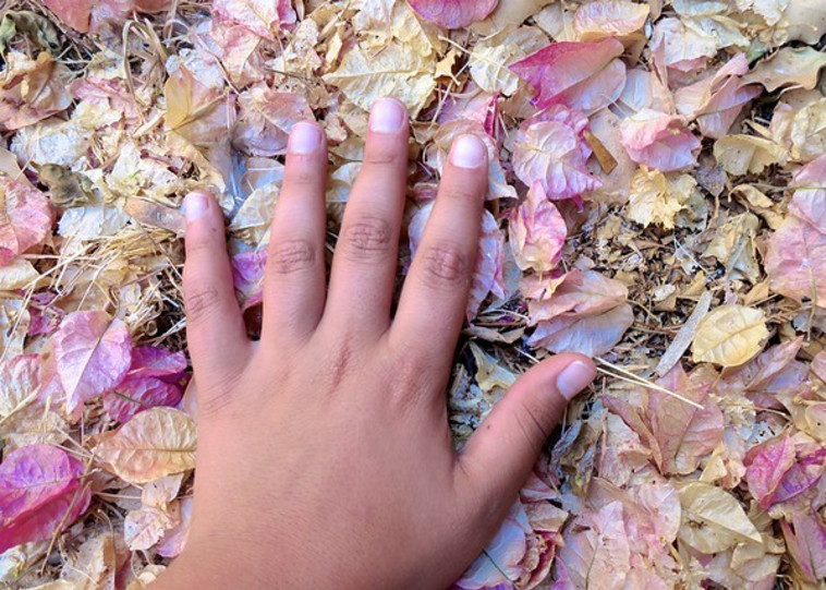 תערוכה באברבנאל