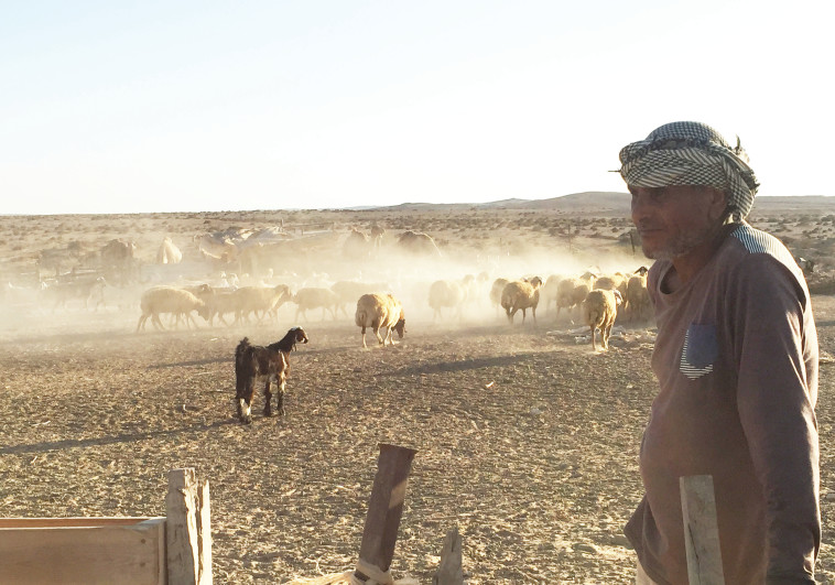 עבדאללה מראחלה. צילום: יאסר עוקבי