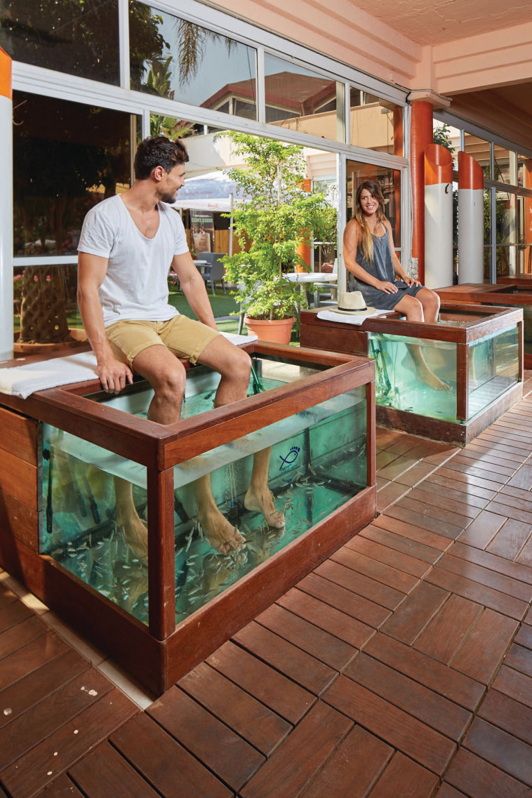 אקויה. צילום: יח&quot;צ 