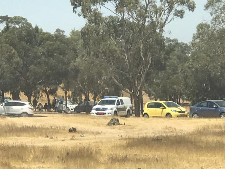 החורשה בה התקיימה מסיבת הטבע. צילום: דוברות המשטרה