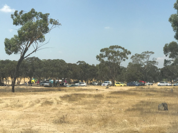 החורשה בה התקיימה מסיבת הטבע. צילום: דוברות המשטרה