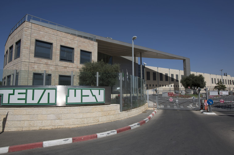  מפעל טבע. צילום: יונתן זינדל, פלאש 90