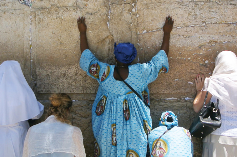 &quot;הקיר&quot;. צילום: מורן איפרגן