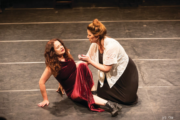 דליה שימקו &quot;שייקספיר מתהפך בקברו&quot;, צילום: אלי כץ