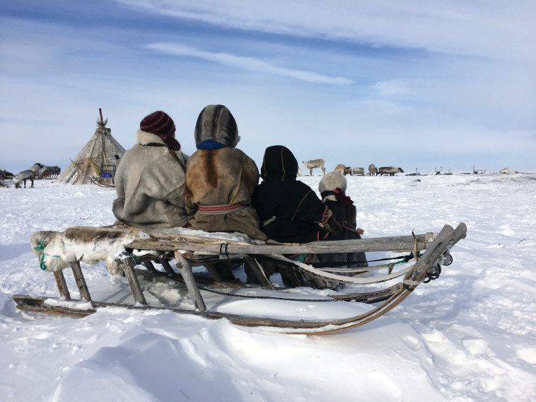 MyHeritage :בני שבט הננץ בסיביר. צילום