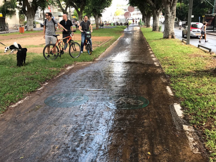 צילום: אבשלום ששוני