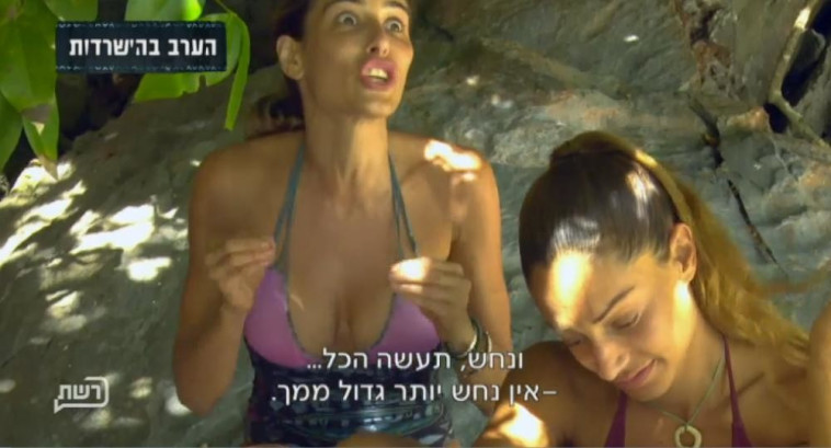 הישרדות. צילום מסך