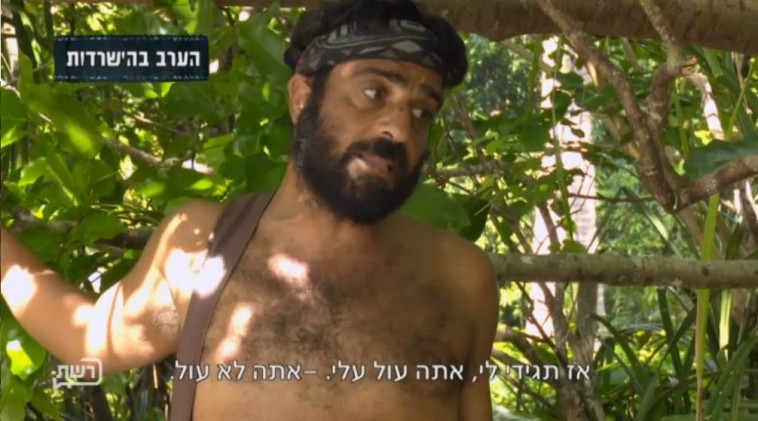 הישרדות. צילום מסך 