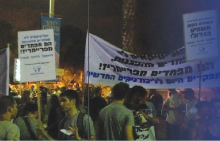 &quot;מתגוננים נגדם כמו נגד פייגלין&quot;. הפגנה של הליכודניקים החדשים. צילום פייסבוק