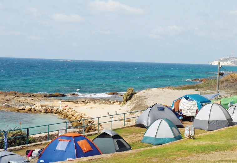 אוהלים באתר הקמפינג בחוף אכזיב. צילום: משה מילנר, לע&quot;מ