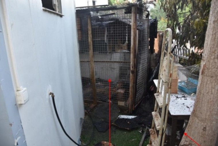 הכלב שהוצת. 80 עופות נשרפו למוות. צילום: דוברות המשטרה