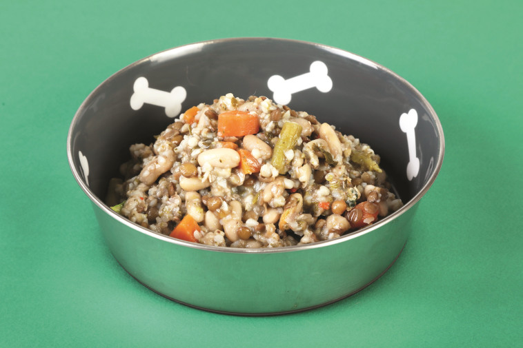 &quot;רוצים מזון יותר נקי&quot;, צילום: חיים שוורצנברג