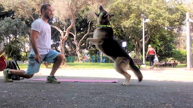 רצים, קופצים וזוחלים יחד. Dog &amp; Shape, צילום: עידן מזרחי