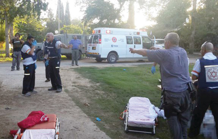 &ldquo;מקום הפציעה נמצא 50 מטרים מהבית שלי. הוא לא עושה לי כלום&quot;. הזירה הקטלנית  צילום: דוברות מד&quot;א