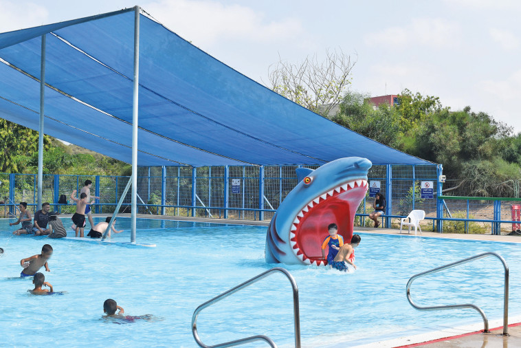 פארק אתגרים. צילום: מיטל שרעבי