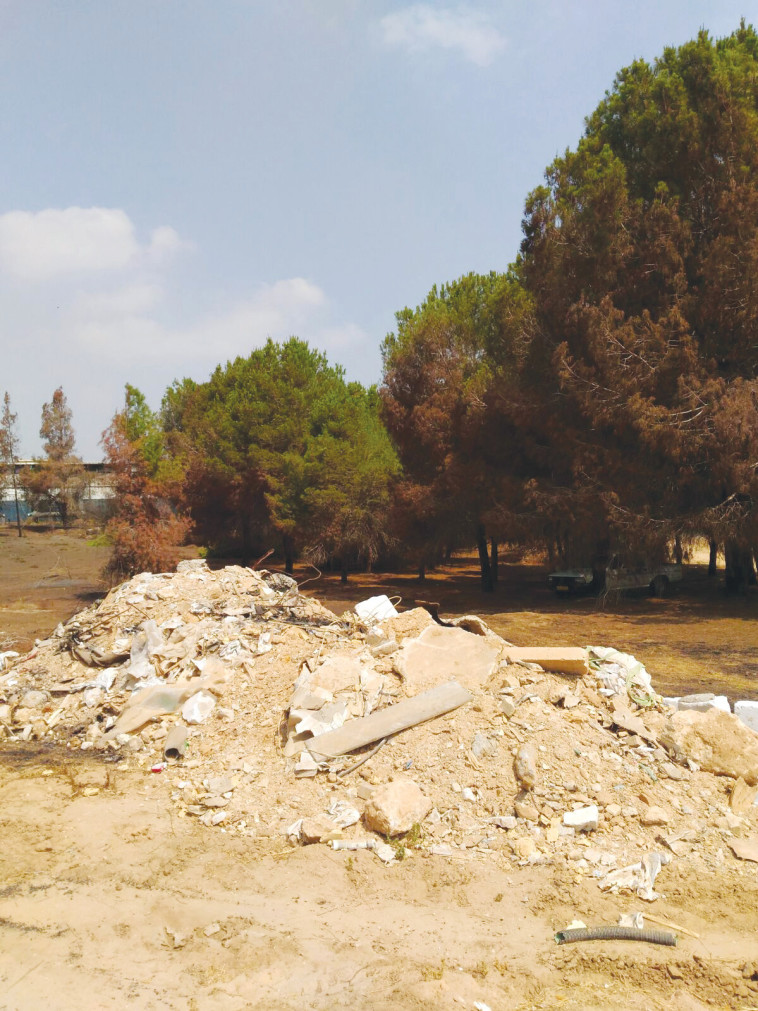 פסולת בניין ביער. צילום: קק&quot;ל