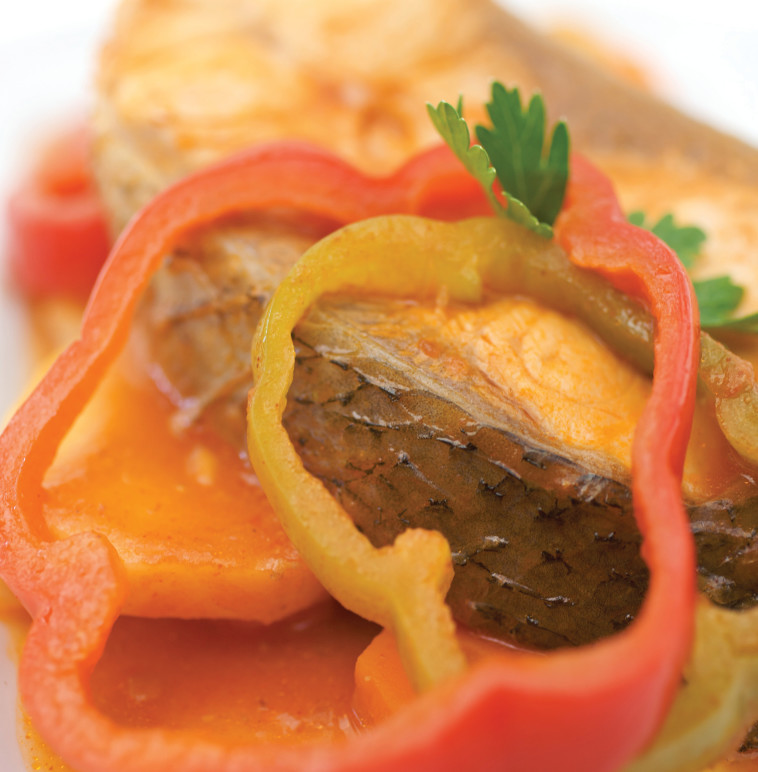 פילה לוקוס על מצע ירקות. צילום: דרור כץ