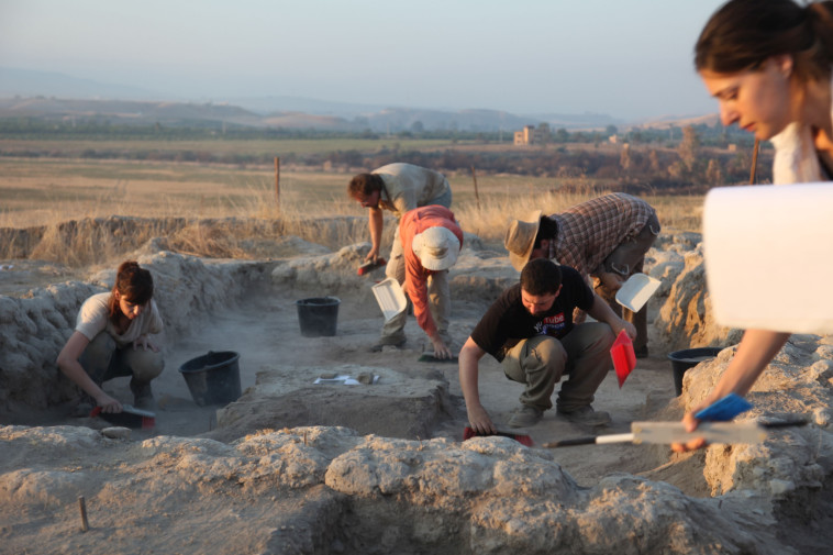 חפירות ארכיאולוגיות בתל צף. צילום: אוניברסיטת חיפה