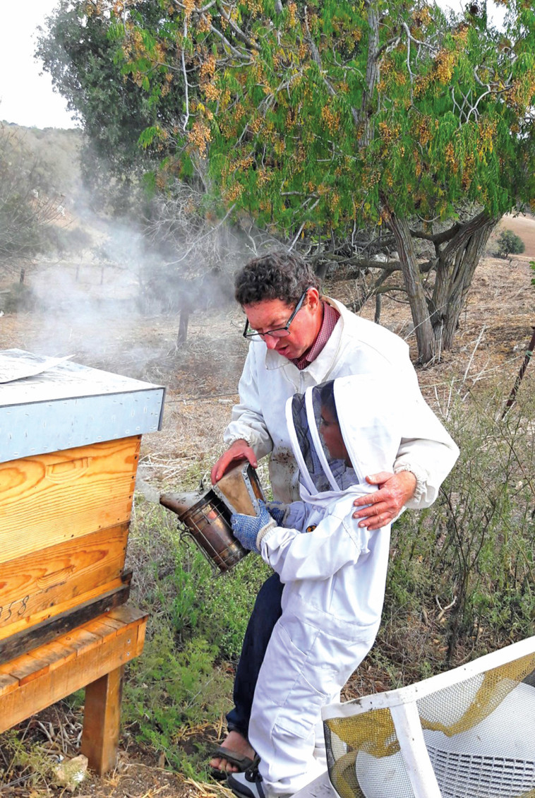 האמיצים יוכלו ללטף דבורים