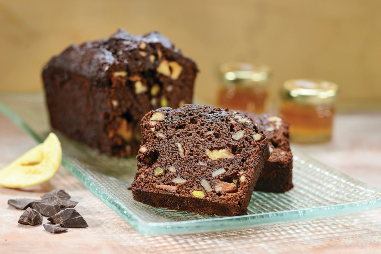 צילום: שי בן אפרים