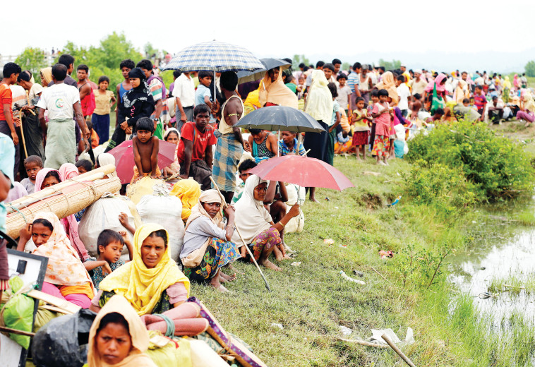 פליטים רוהינגים. צילום: רויטרס