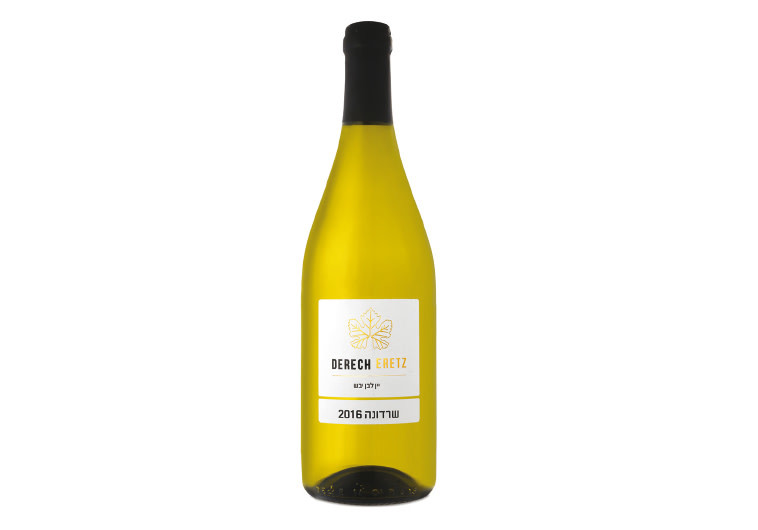 יין דרך ארץ, צילום: איל קרן
