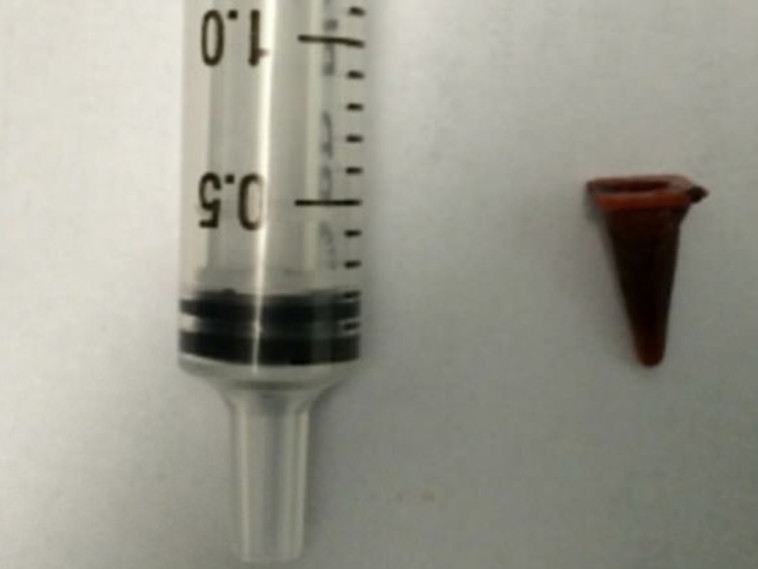 הפליימוביל שבלע הגבר בילדותו. צילום מסך