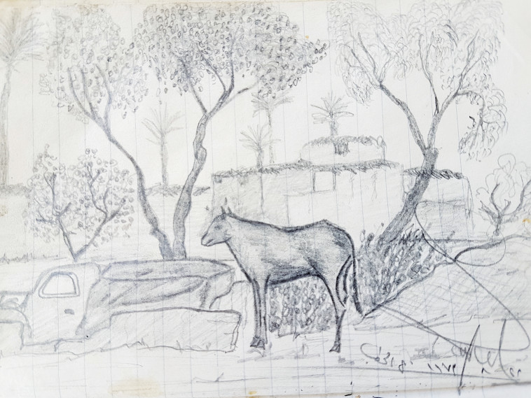 איור מתוך היומן