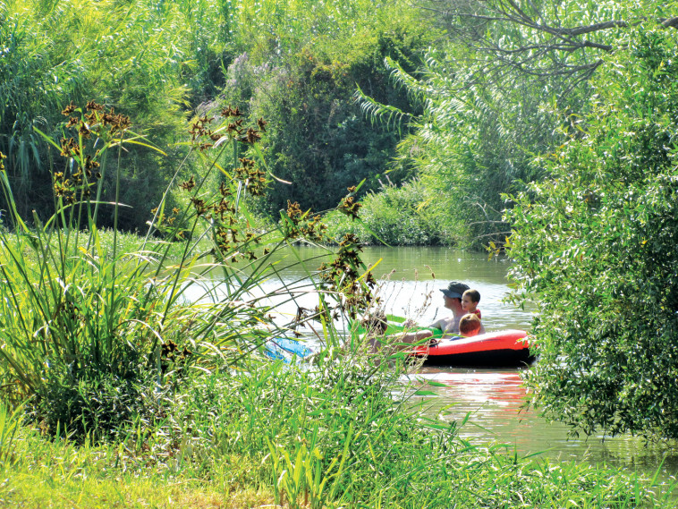 פארק הירדן. צילום: באדיבות פארק הירדן