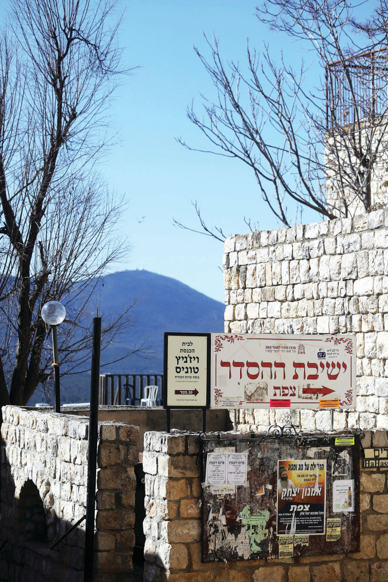 צפת. צילום: אריאל בשור 