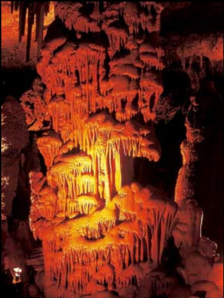  מערת הנטיפים. צילום: רשות הטבע והגנים 