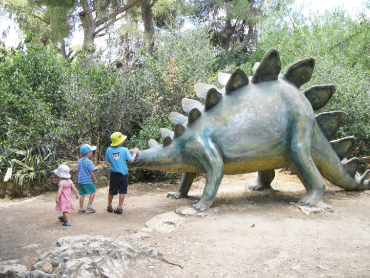 עובדיו התבשרו שמרחפת עליו סכנת סגירה. מוזיאון הטבע בירושלים. צילום: CC BY-SA 3.0 