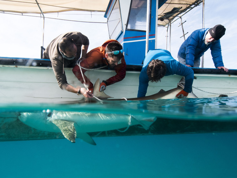 צילום: אוניברסיטת חיפה
