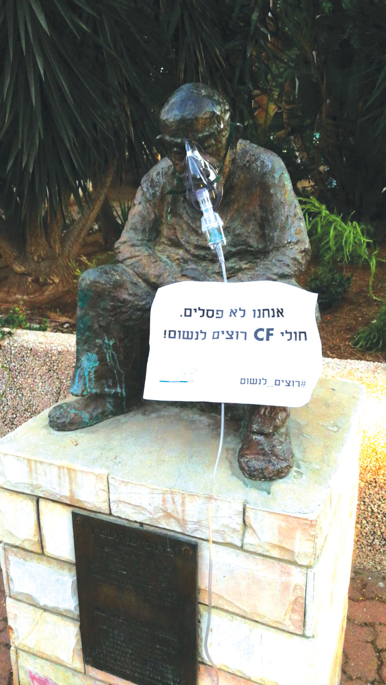 הפסלים. צילום: איגוד הסיסטיק פיברוזיס