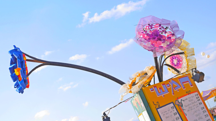 אינדינגב 2017. צלם: קיץ ברבנר 