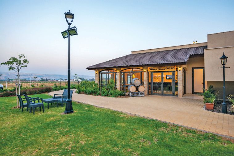 חדר יין במלון &quot;גליליון&quot;. צילום: דרור מילר