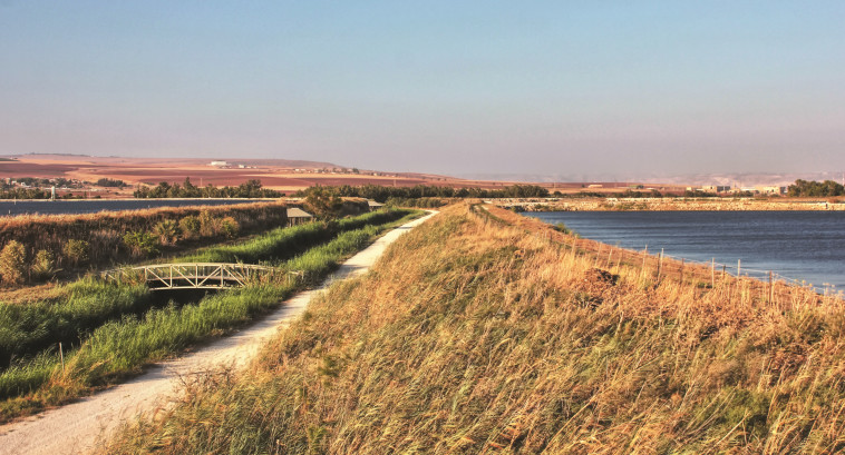 &ldquo;צריך לעצור את התיעוש, כי לא בשביל זה אנשים באים לגור בצפון&quot;. עמק המעיינות שבו אמורות לקום תחנות כוח. צילום: Yair Aronshtam CC BY-SA 2.0